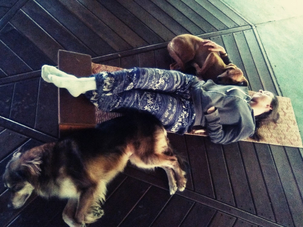 meditation with dogs